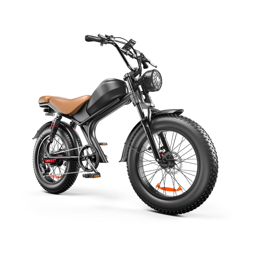 ZonDoo 1000W Electric Bicycle 35MPH with 20Inch Fat Tyres