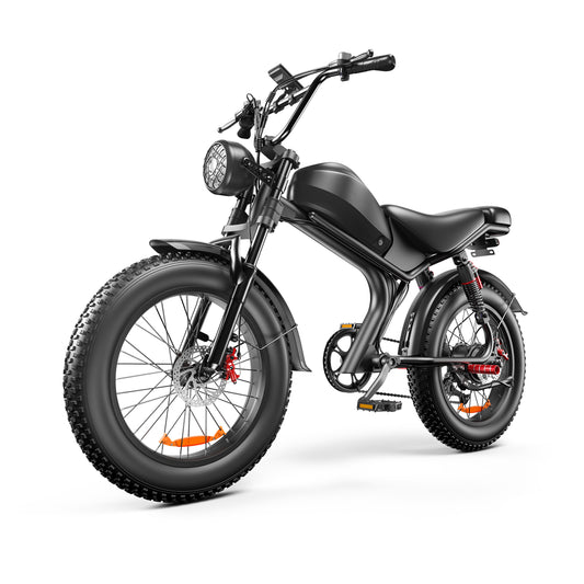 ZonDoo BK02 1000W 48V Fast Moped-style Ebike Fat Tire 1000w Motor for adults