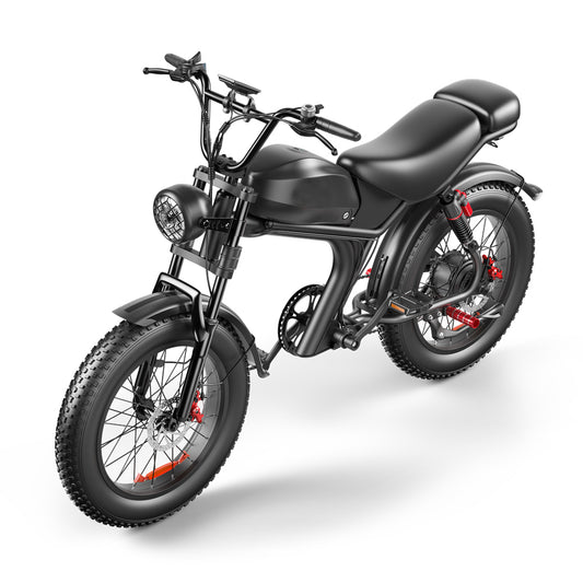 ZonDoo ZDBK01, neumáticos gruesos de 20 pulgadas, bicicleta de montaña, bicicleta eléctrica, bicicleta de nieve con batería extraíble