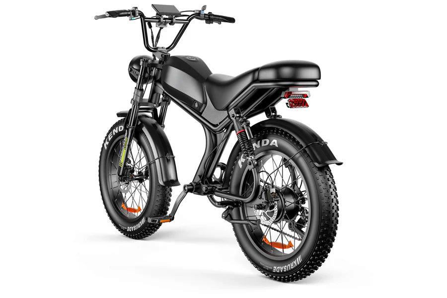 ZonDoo BK02 1000W 48V Fast Moped-style Ebike Fat Tire 1000w Motor for adults