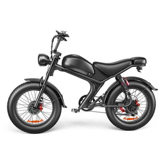 ZonDoo BK02 2000w dual motor 23ah battery fat tire ebike with full suspension hydrulic brakes for adults