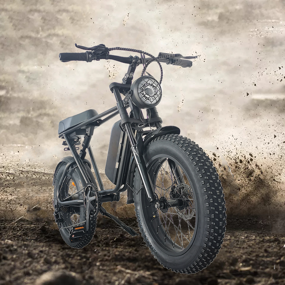 1000 watt e bike hotsell