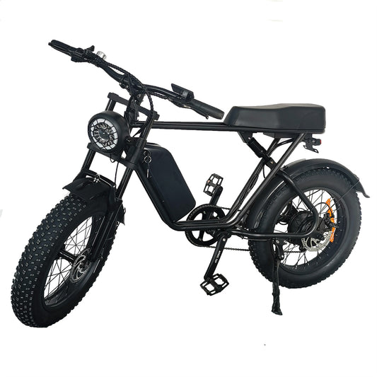 ZonDoo ZDBK01 E-bike 1000W Electric Bicycle 35MPH with 20Inch Fat Tyres